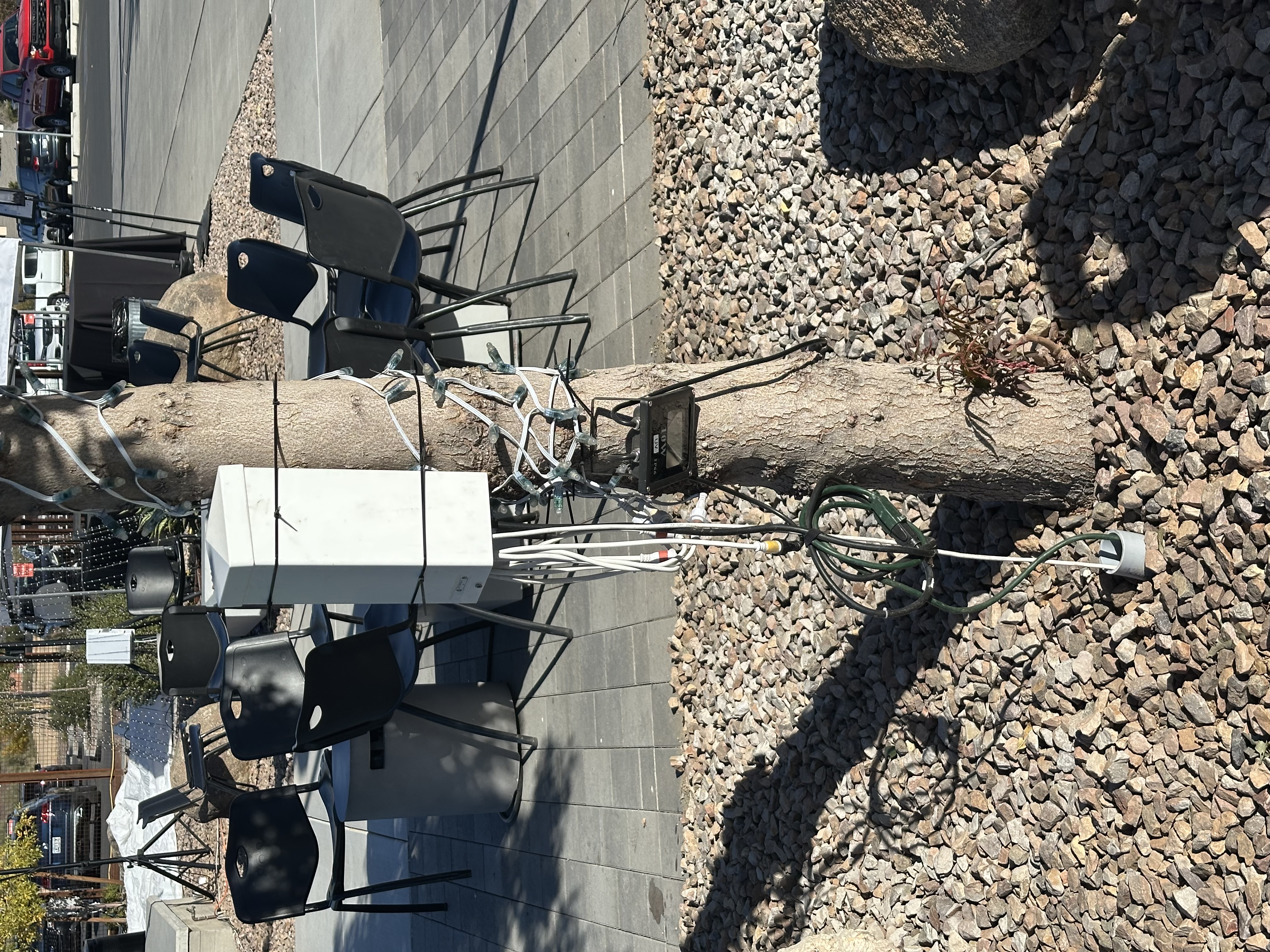 Reference Photos image 2 for controller Lot Trees