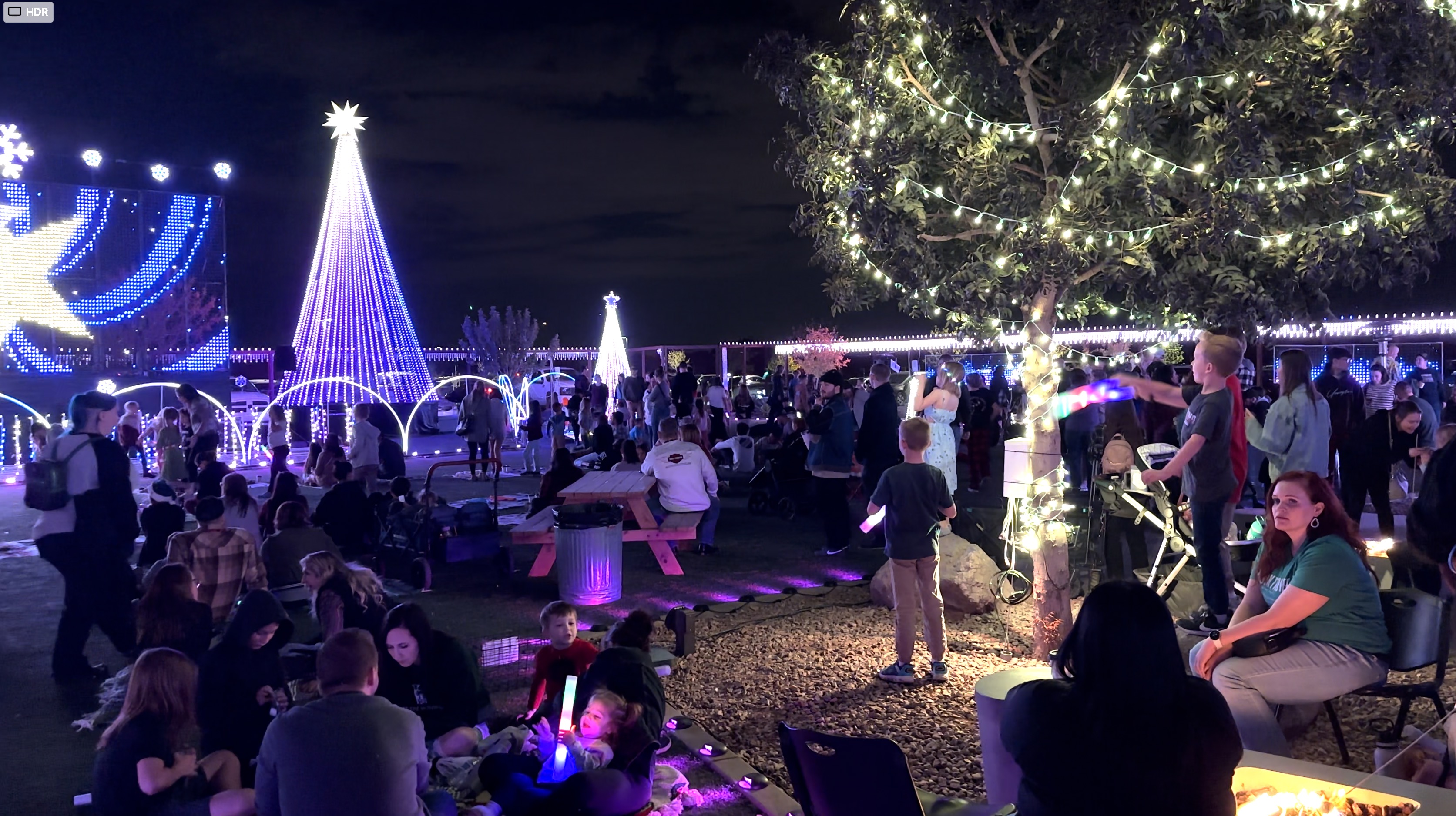 Reference Photos image 3 for controller Lot Trees