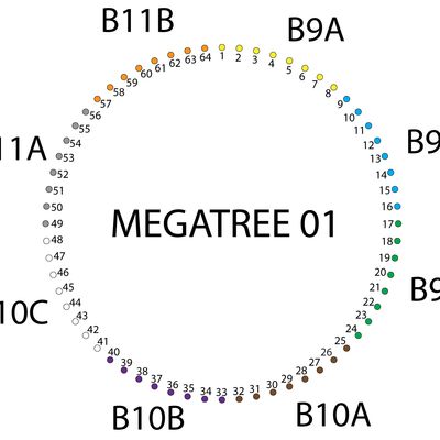Controller K8B.C – MegaTree 01